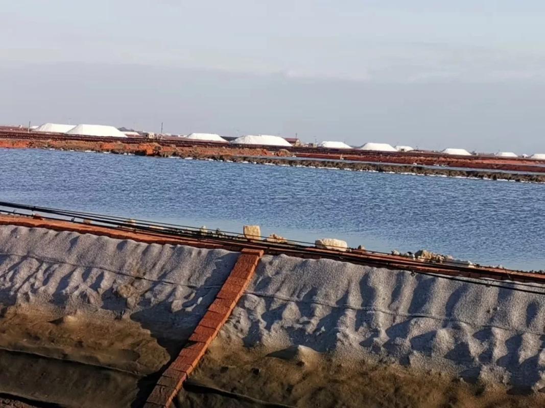 河北海洋货运代理现状河北海洋货运代理现状分析