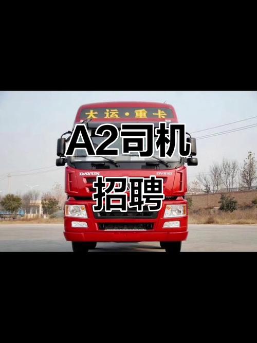 河南周口货运司机招聘网河南周口货运司机招聘网站