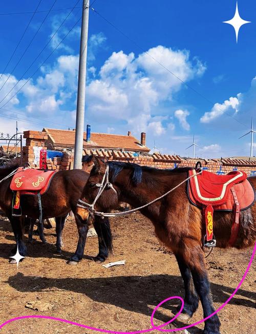 北京到乌兰察布货运北京到乌兰察布货运专线
