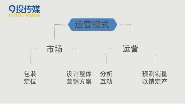 网红卖货运营模式分析网红卖货运营模式分析报告